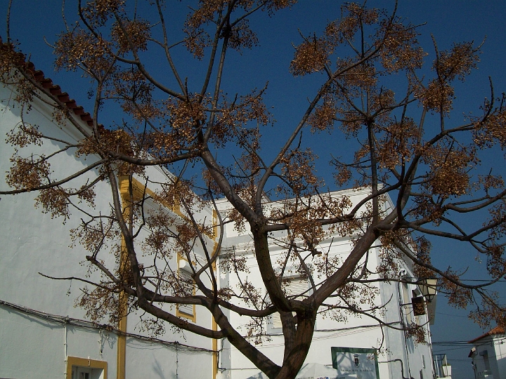 2009_portugal 141